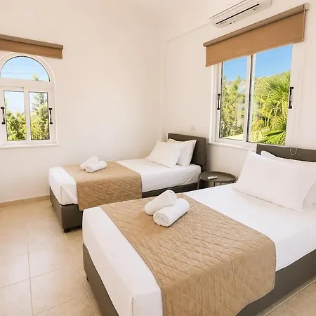 Palm 2 * Neo Chorio